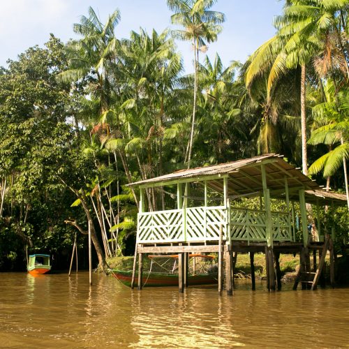 Ilha do Combu