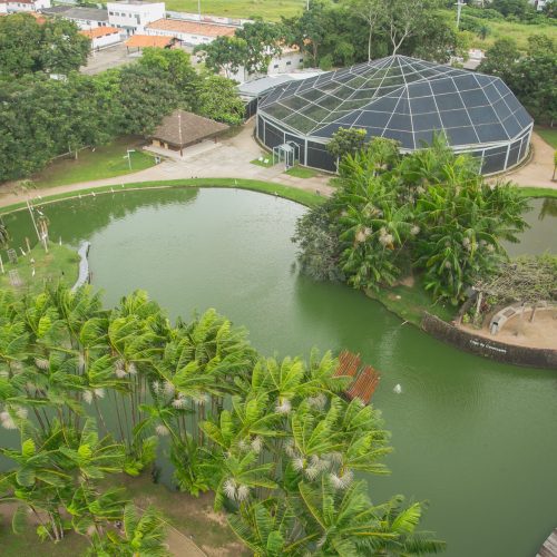 Mangal das Garças