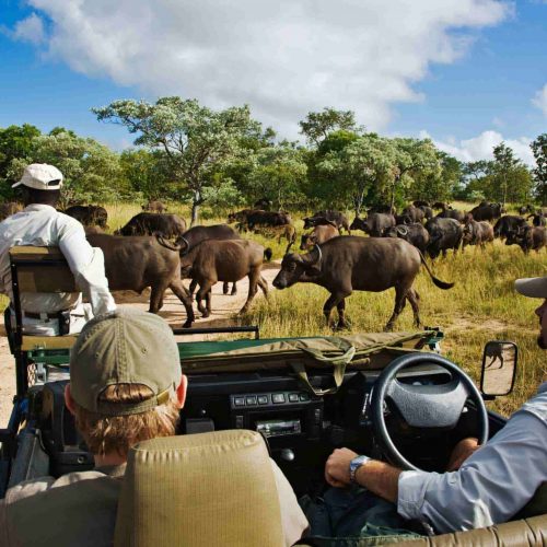 africa01