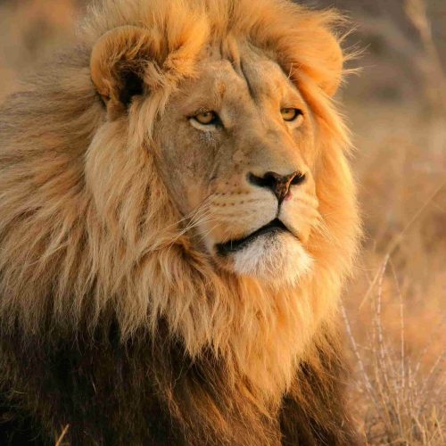 africa04