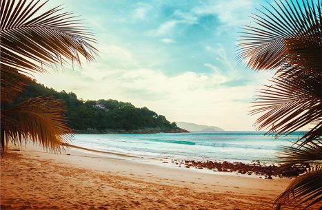 tropical-beach1